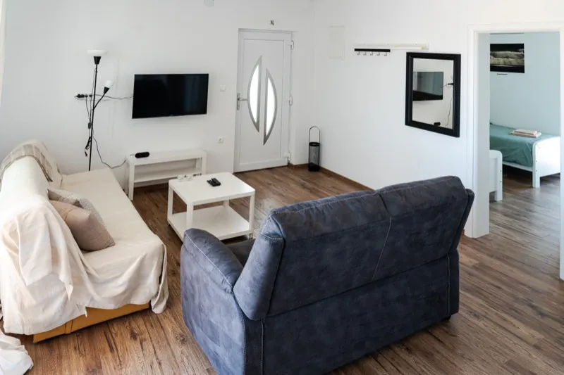 Living room with sofas and TV